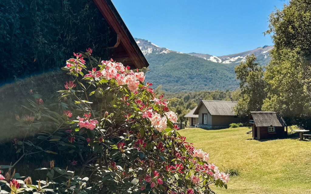 Refugio_0007_IMG_7644 - copia